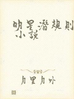 明星潜规则之皇 小说