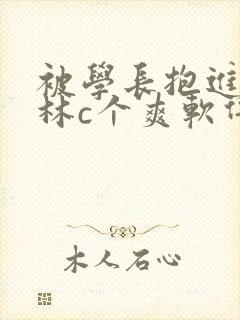 被学长抱进小树林c个爽软件