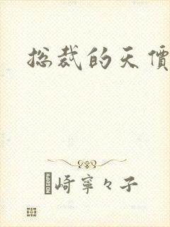 总裁的天价宠妻