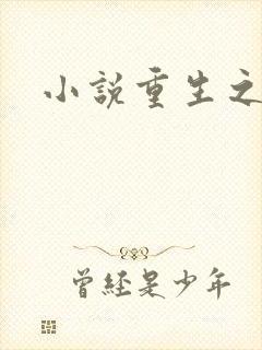 小说重生之官道