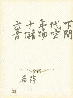 六十年代下乡知青储物空间