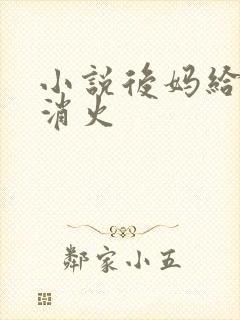 小说后妈给我消消火