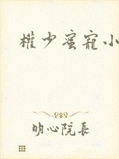 权少蜜宠小娇妻