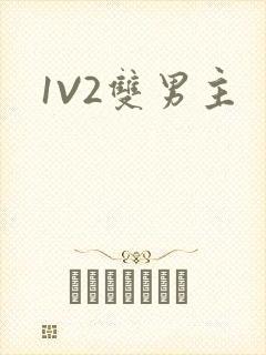 1V2双男主