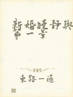 新婚晓静与翁公笫一章