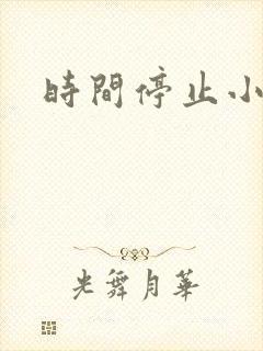 时间停止小说