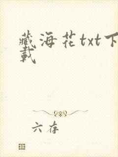 藏海花txt下载