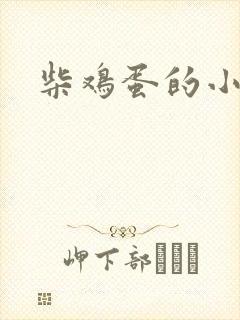 柴鸡蛋的小说