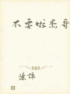 不要啦杰哥封面