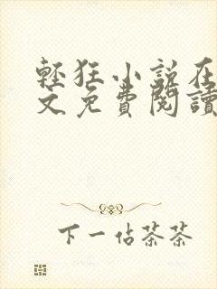 轻狂小说在线全文免费阅读