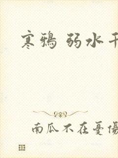 寒鸦 弱水千流