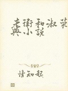 老卫和淑荣的经典小说