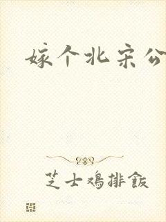 嫁个北宋公务员