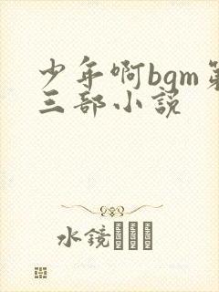 少年啊bgm第三部小说