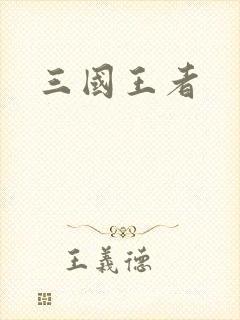 三国王者封面