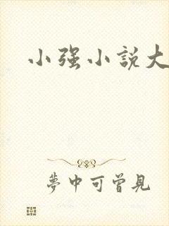 小强小说大全