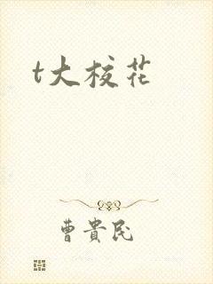 t大校花