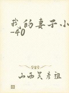 我的妻子小谨1-40
