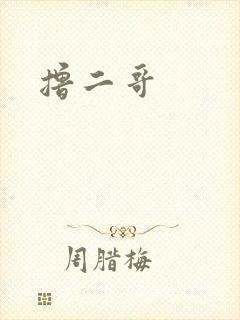 撸二哥