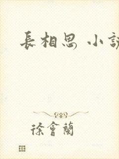 长相思 小说