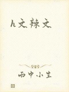 h文辣文