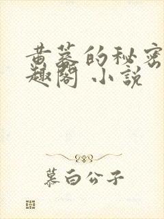 黄蓉的秘密 笔趣阁 小说