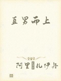 《直男而上》小说封面