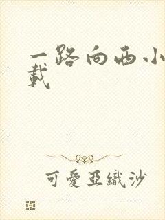 一路向西小说下载