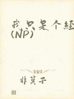 我只是个经纪人(NP)