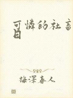 可怜的社畜东度日