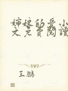 婶娘的爱小说全文免费阅读