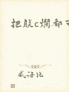 把朕c烂都可以封面