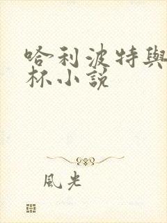 哈利波特与火焰杯小说