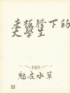 老板胯下的秘书大学生