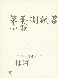 笨蛋测试召唤兽小说
