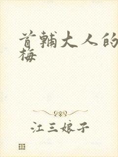 首辅大人的小青梅