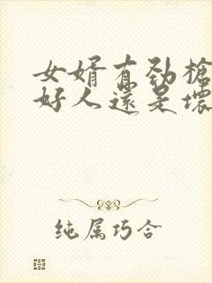 女婿有劲枪枪是好人还是坏人