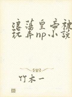 浪荡皇帝被多人玩弄np小说