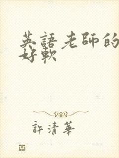 英语老师的兔子好软