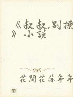 《叔叔,别撩我》小说