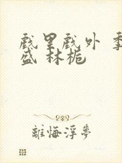 戏里戏外 季淮盛 林栀