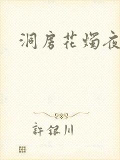 洞房花烛夜小说