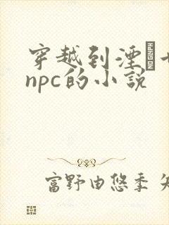 穿越到湮婸世界npc的小说