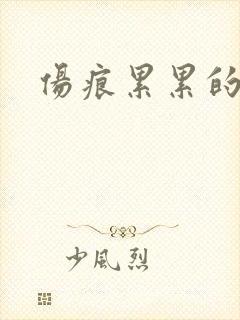 伤痕累累的勋章