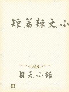 短篇辣文小说封面