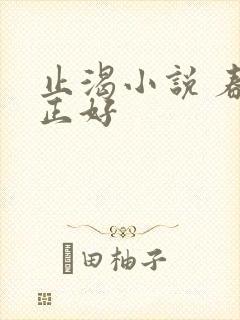 止渴小说 春光正好