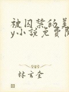 被囚禁的美人by小说免费阅读