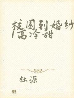 校园到婚纱1V1高冷甜