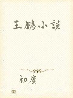 王鹏小说