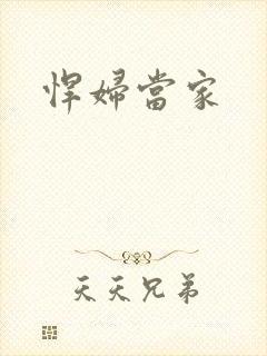 悍妇当家封面